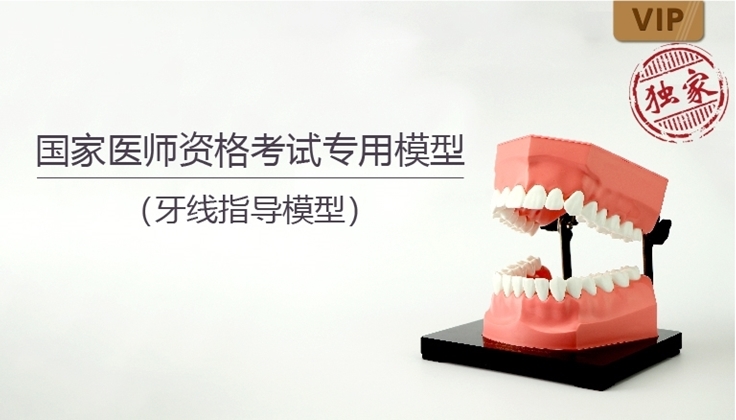 图片 专用牙线使用指导模型
