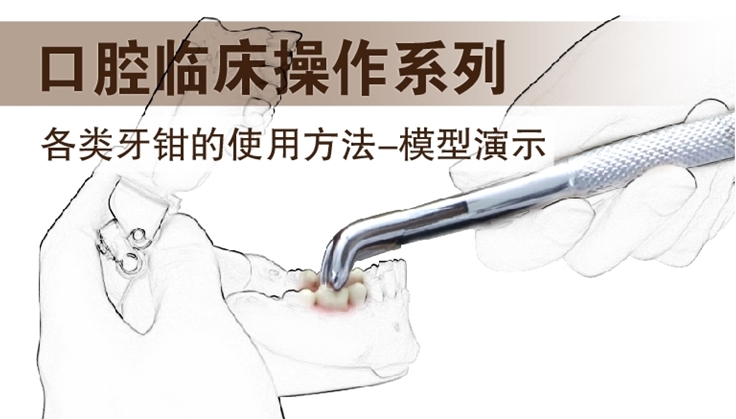 图片 各类牙钳的使用方法