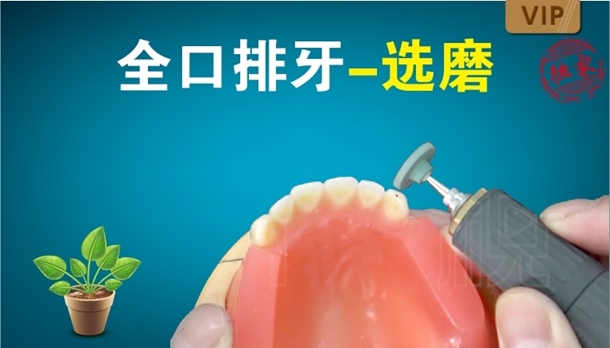 图片 全口排牙-选磨