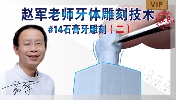 图片 牙体雕刻技术 #14石膏牙雕刻（二）