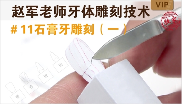 图片 牙体雕刻技术 #11石膏牙雕刻（一）