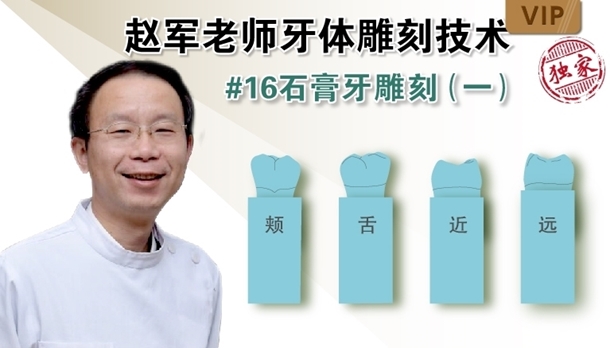 图片 牙体雕刻技术 #16石膏牙雕刻（一） - copy
