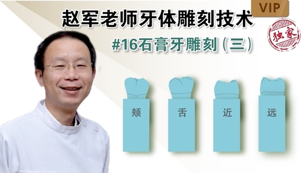 图片 牙体雕刻技术 #16石膏牙雕刻（三） - copy