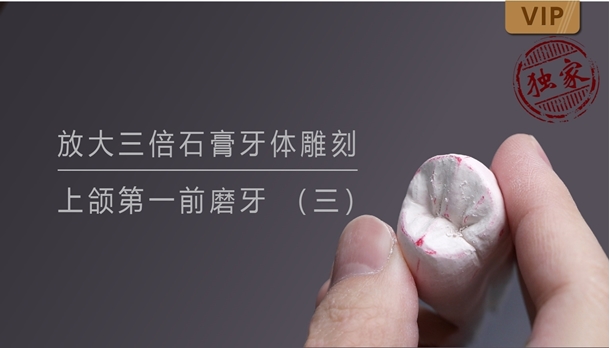 图片 放大三倍石膏牙体雕刻 上颌第一前磨牙 （三） - copy