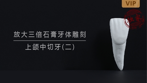 图片 放大三倍石膏牙体雕刻 上颌中切牙 （二） - copy