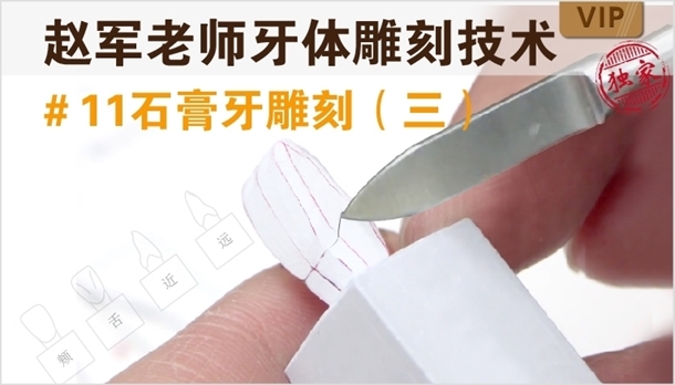 图片 牙体雕刻技术 #11石膏牙雕刻（三） - copy